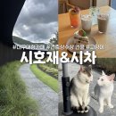 시호재 | 건축상 받은 시호재&amp;시차, 대구근교 칠곡 대형카페 방문 후기
