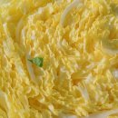 나래농원 이미지