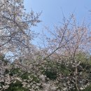 와인브라더스화성남양점