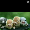 사람과사람 이미지