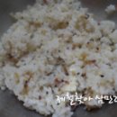 김밥주세요 Daum카페