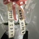상아순대국 | 사람 Chill뻔 했던 1월 일상