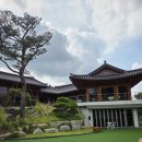 더포레스트 이미지