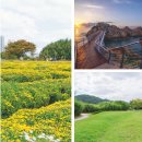 감천산림공원 | ‘2025~2026 한국관광 100선 계속 쭈욱~~~