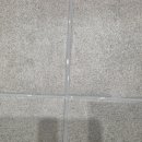 더 프로크린 이미지