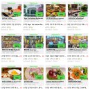 썬스파(해양) | 나트랑 호핑투어 내돈내산 미니비치 머드온천 가격 일정 준비물, 산티아고 투어 후기