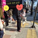 산책하는날 이미지