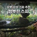 귀빈사우나 - 김포시 양곡1로40번길 14 | 우붓 스파 추천 | 우붓 정글 속 신비로운 동굴 스파, 짬뿌한 스파(Tjampuhan Spa) 솔직 후기