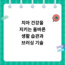 치아 건강을 지키는 올바른 생활 습관과 브러싱 기술