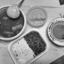 맵찌돈찌 동해점