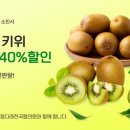 데이지주 이미지
