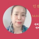 인셀덤 꿈