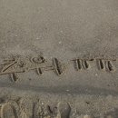 솔내음솔솔 이미지