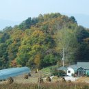 도송리병풍마을 이미지