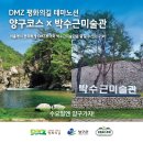 [서울 출발]DMZ 평화의 길 양구 두타연 &amp; 박수근 미술관 일일 투어