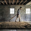 통미농장 이미지