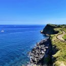 풀 스테이 햅번 | 제주도 어디까지 가봤니? - 제주 송악산지구 마라해양도립공원 (부재: 제주 송악산 둘레길)