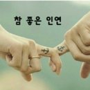 국립유명산자연휴양림 이미지