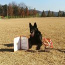 미나애견 이미지