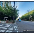 하단동1204 이미지