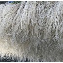 옥이농장 이미지