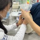 예은동물의료센터 이미지