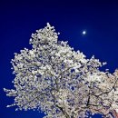 원탕고운호텔 이미지