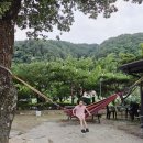 소금강여울목펜션 이미지