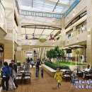 세종의 아침 이미지