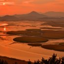 순천만 풍경 이미지