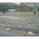 봉양농장2 이미지