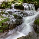 태안사 야영장 이미지