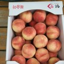 정정농장 이미지