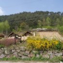 솔내음과 물소리 이미지