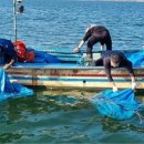 서해수산연구소 이미지