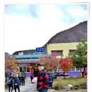 RE:Re: 25년 02월 15일 정선 가리왕산 눈꽃 .설경 이미지