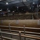 부경축산 이미지