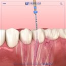 매디플란트 치과의원 이미지