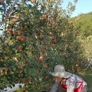 광재농장 이미지