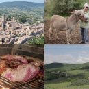 테마민박 이미지