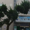 서대신1동 주민센터 이미지