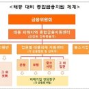 태풍중기