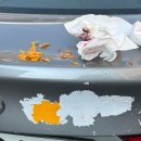 뽑아볼까 앙 | ep1. 오늘의 선택이 내일의 스포일러