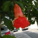 합천군 북부권 농기계대여은행 이미지