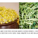 마산아귀찜 이미지