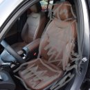 돈내코로 | 제주도 여행 후기를 지금 쓰는 것도 재주다