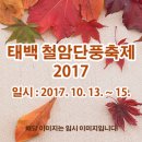 태백 철암단풍축제 2017 이미지