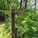 서부탑주유소 이미지