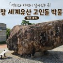고창고인돌박물관 | 고창여행 | 필수 코스! 고창 세계유산 고인돌박물관 다녀온 솔직 후기