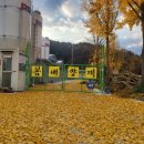 봄내양계 이미지